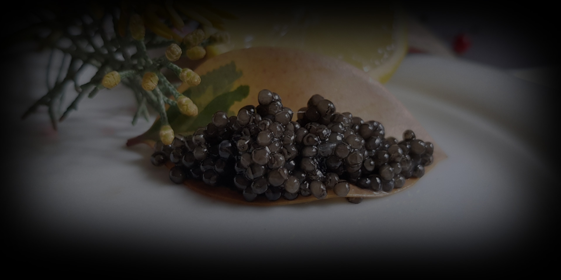 Hyrcan Caviar